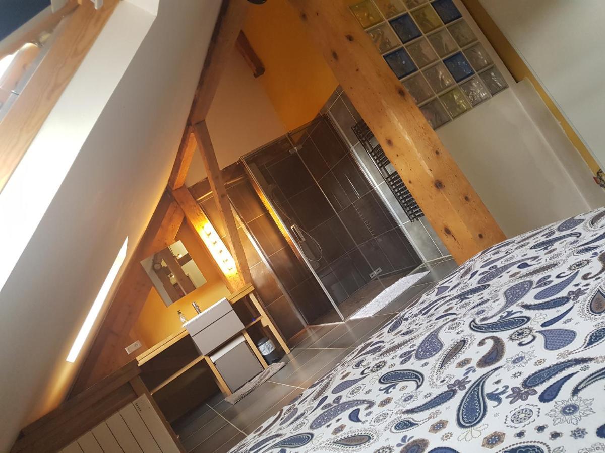 Loft Dans Les Pyrenees Apartamento Oloron-Sainte-Marie Exterior foto